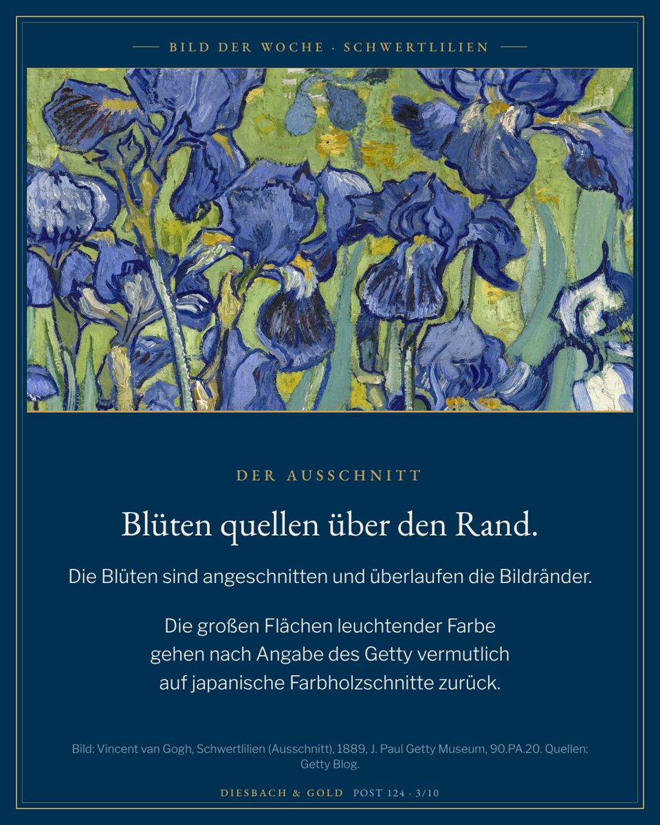 Ausschnitt: dicht gedrängte blaue Blüten oben rechts, die über den Bildrand hinauslaufen.