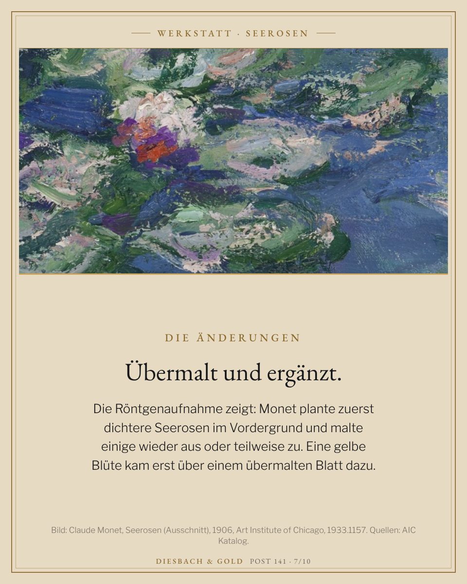 Ausschnitt der dichten Seerosengruppe unten links, die laut Röntgenaufnahme zunächst größer angelegt war.