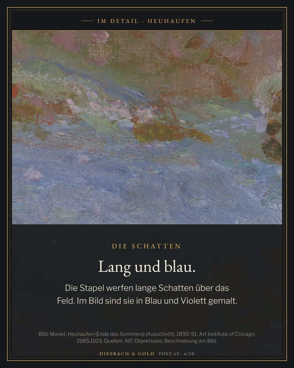Detail: lange Schatten in Blau und Violett auf dem Feld.